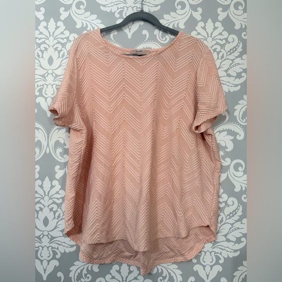 Philosophy Tops - 4/$25 • Philosophy Raised Print Chevron Blush Top